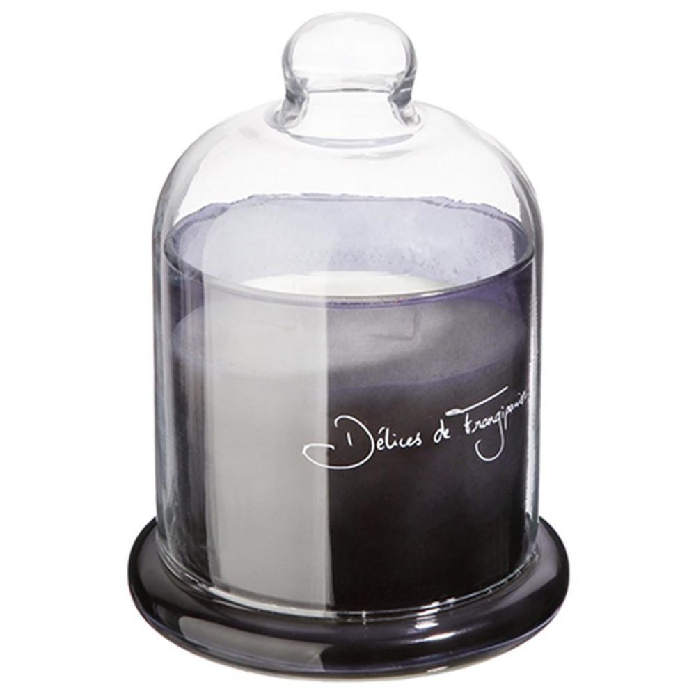 COMPTOIR DE LA BOUGIE Bougie parfumée sous cloche loyd 650g délices frangipanier