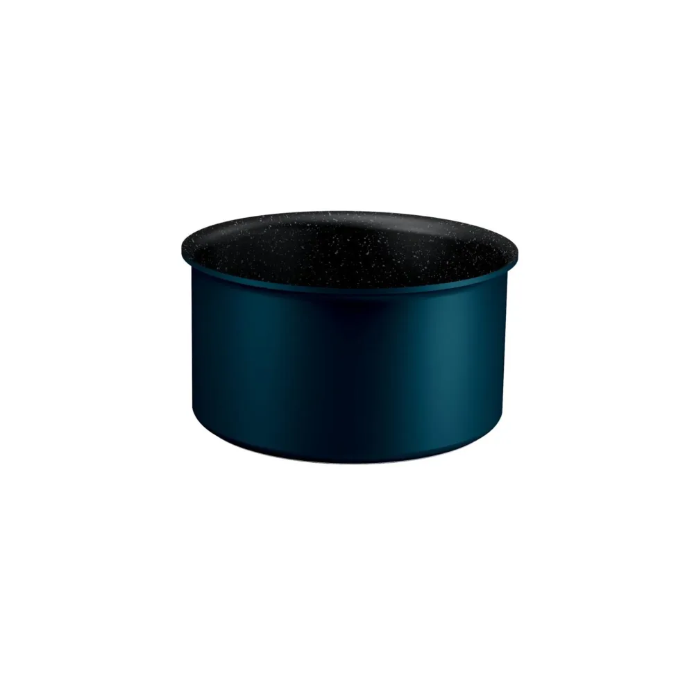 TEFAL Casserole 16cm expertise ingenio