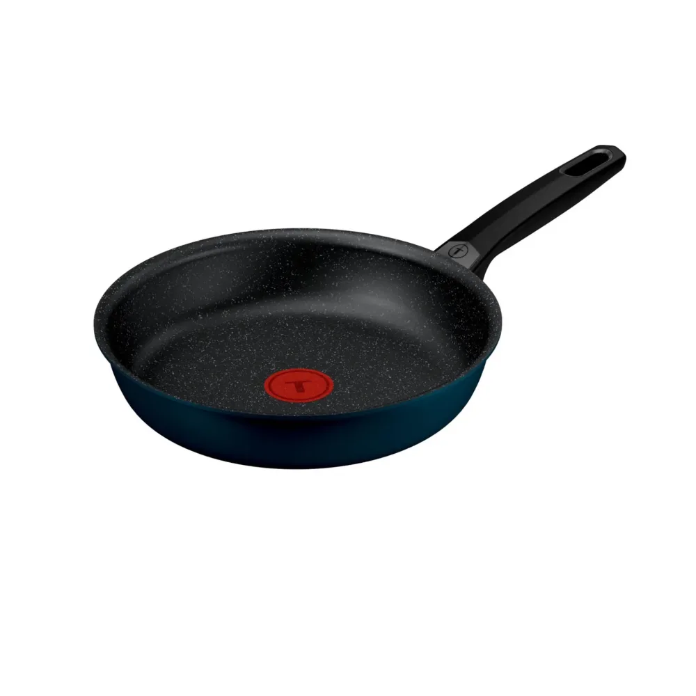 TEFAL Poêle 24cm expertise fixe