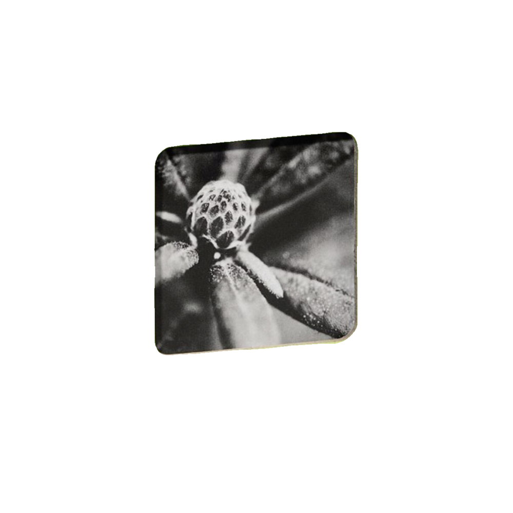 Hama Album photo Hama fine art 50 pages verte