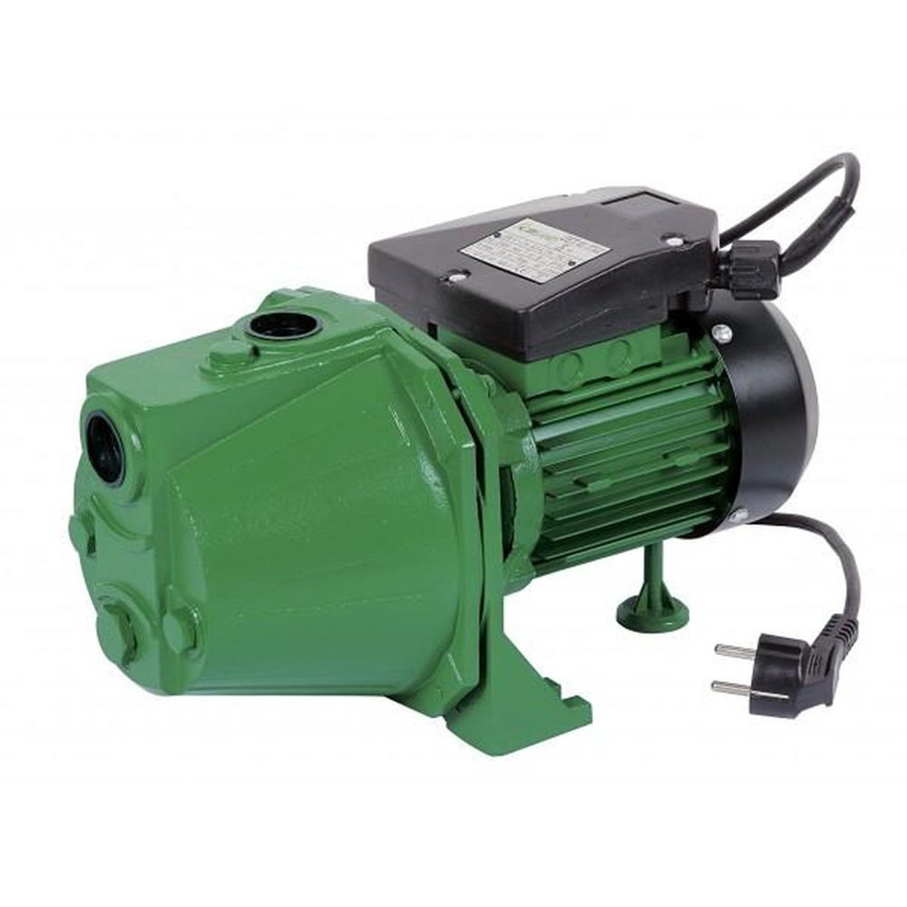 Ribiland Pompe de surface auto-amorçante 1180w - prjet121